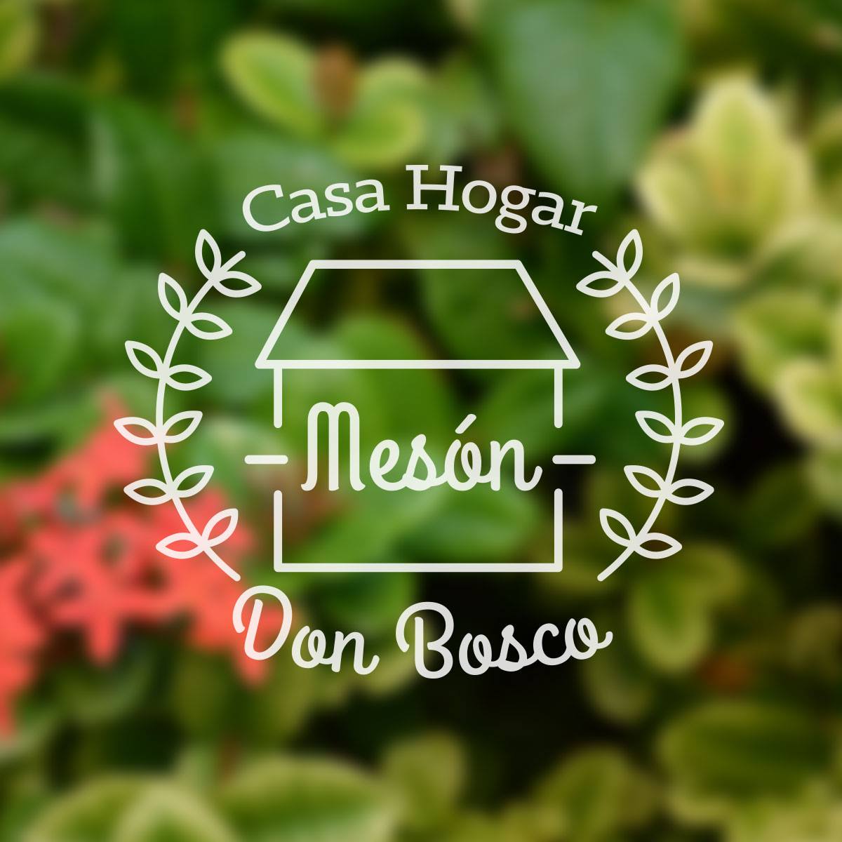 logo de Casa Hogar Mesón Don Bosco