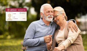 imagen de Inapam Irapuato