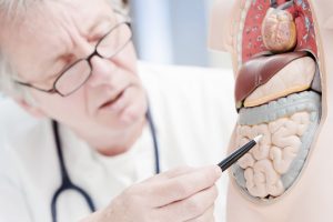 Toda la información sobre Gastroenterólogo Geriatra