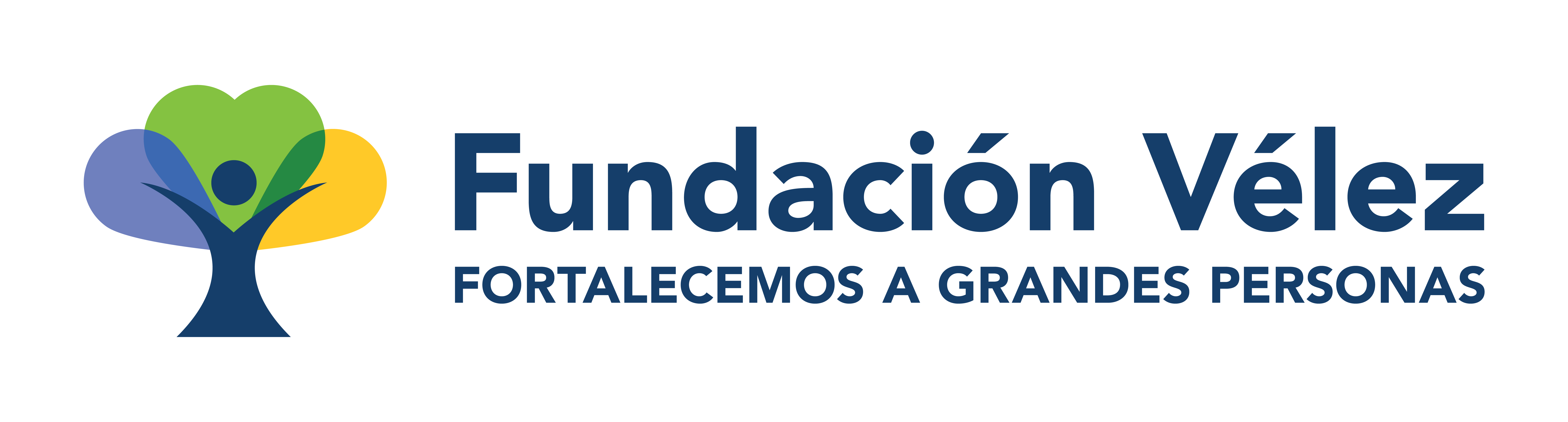 logo de Fundación Héctor Vélez y de la Rosa IAP