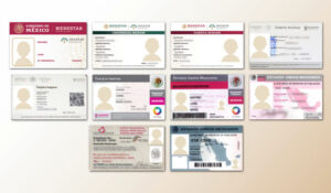 imagen de Inapam León