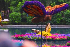 Festival de flores