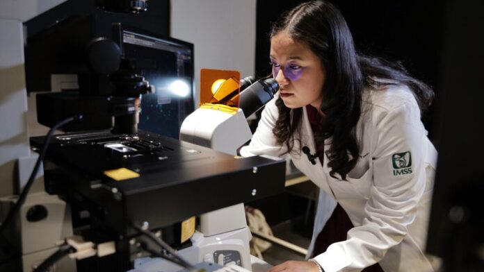 imagen de Inteligencia Artificial contra el cáncer de piel