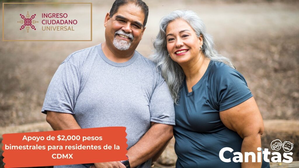 ingreso ciudadano universal registro