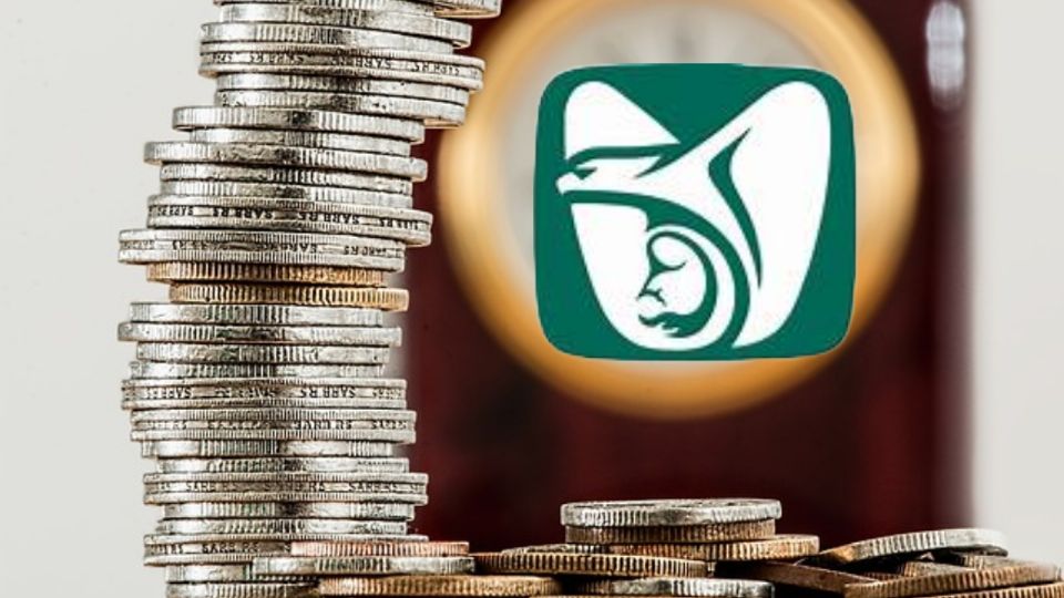 pension imss adultos mayores