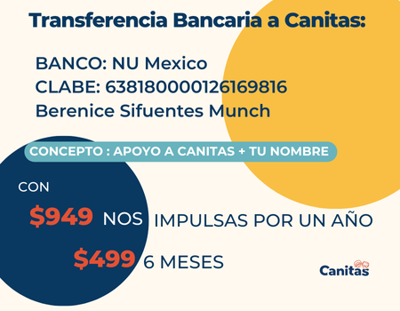 Instrucciones de transferencia bancaria