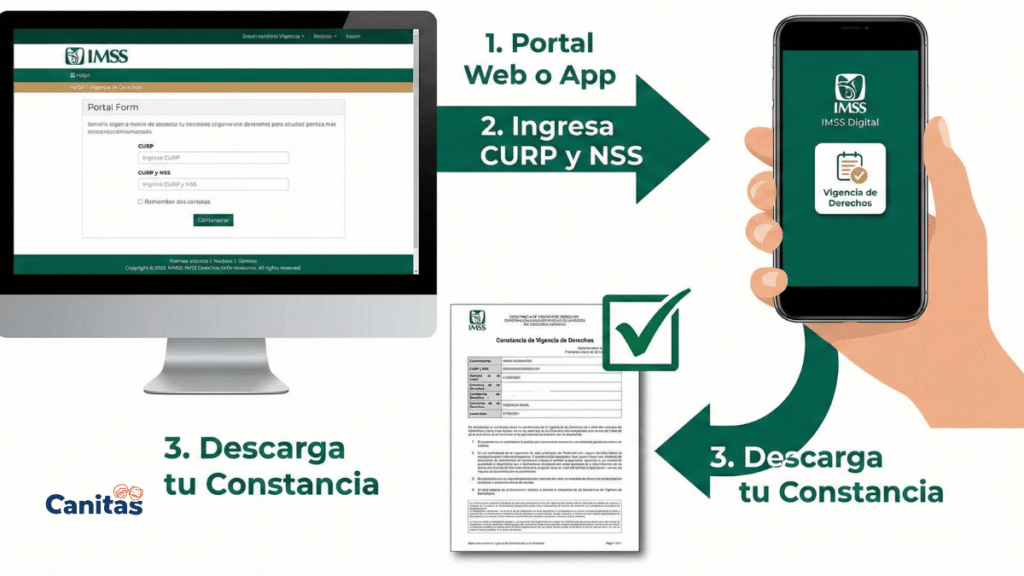 descarga constancia de vigencia de derechos imss