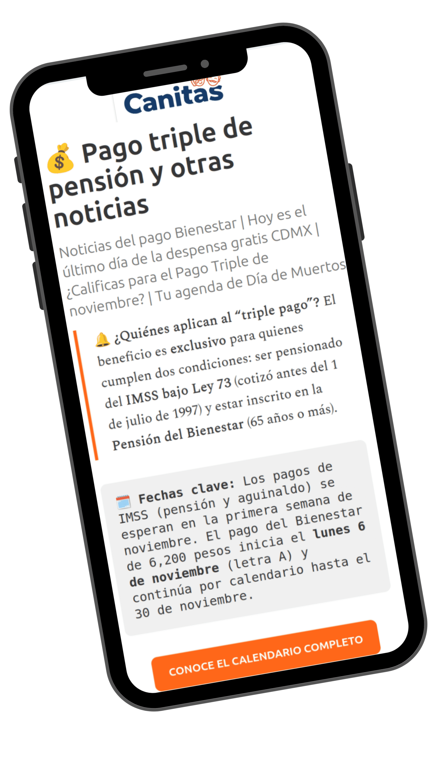 Vista previa de la Newsletter en celular