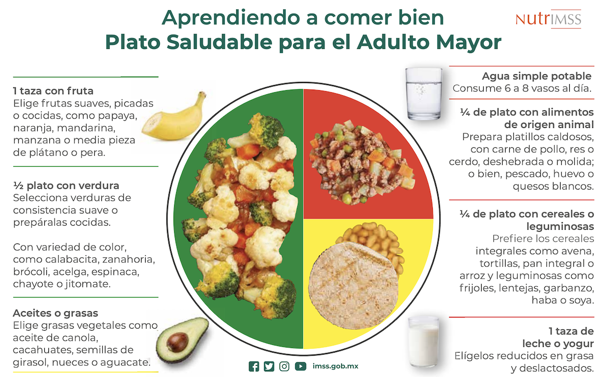 Alimentación saludable para adultos mayores: guía IMSS 2026
