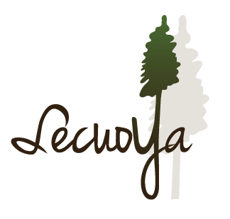 logo de Secuoya Centro de Día
